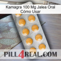 Kamagra 100 Mg Jalea Oral Cómo Usar levitra1